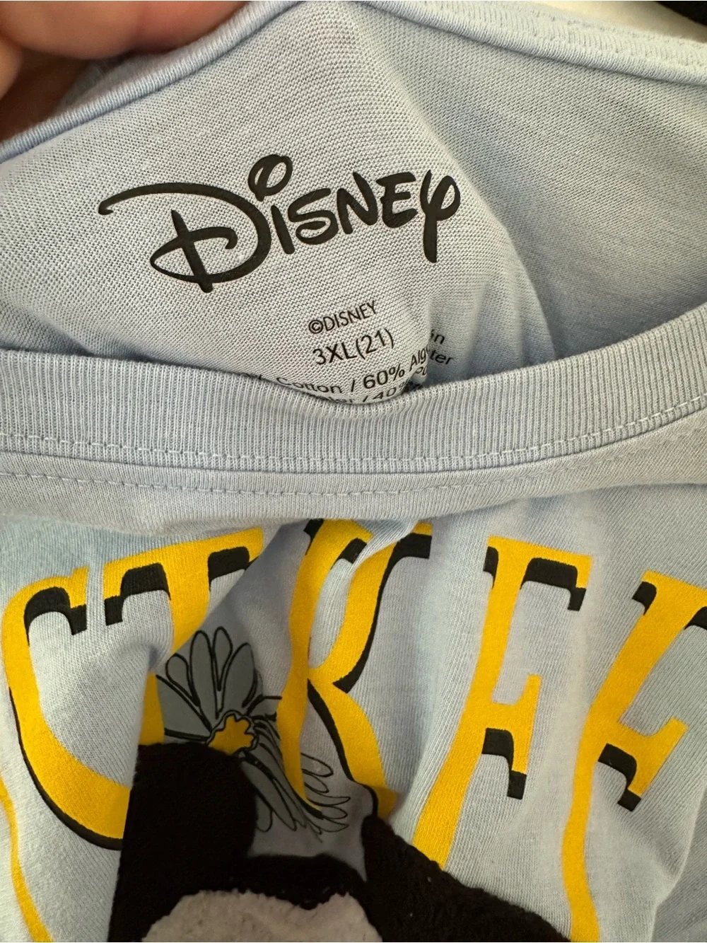 Disney baby blue